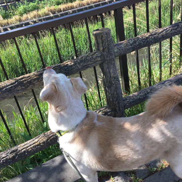 67f60d2b 4699 4c04 9ad2 e773e27b5058