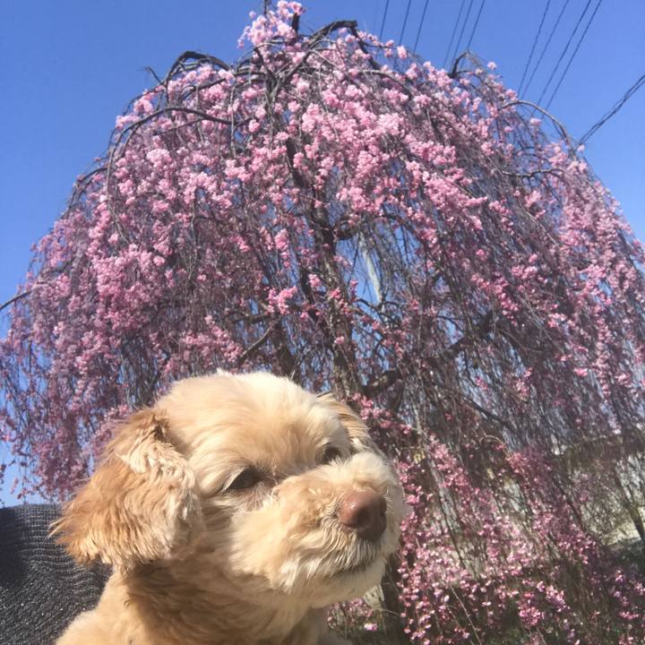 67f61a9a 77bf 4869 ba86 29e376fda8ad