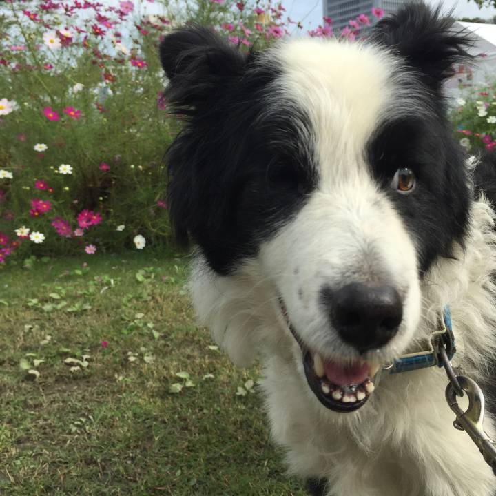 67f67d29 a9c7 4c7c 8571 ae320f6be557