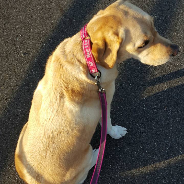 67f6ddc6 c24d 416e 9487 8508069a2658