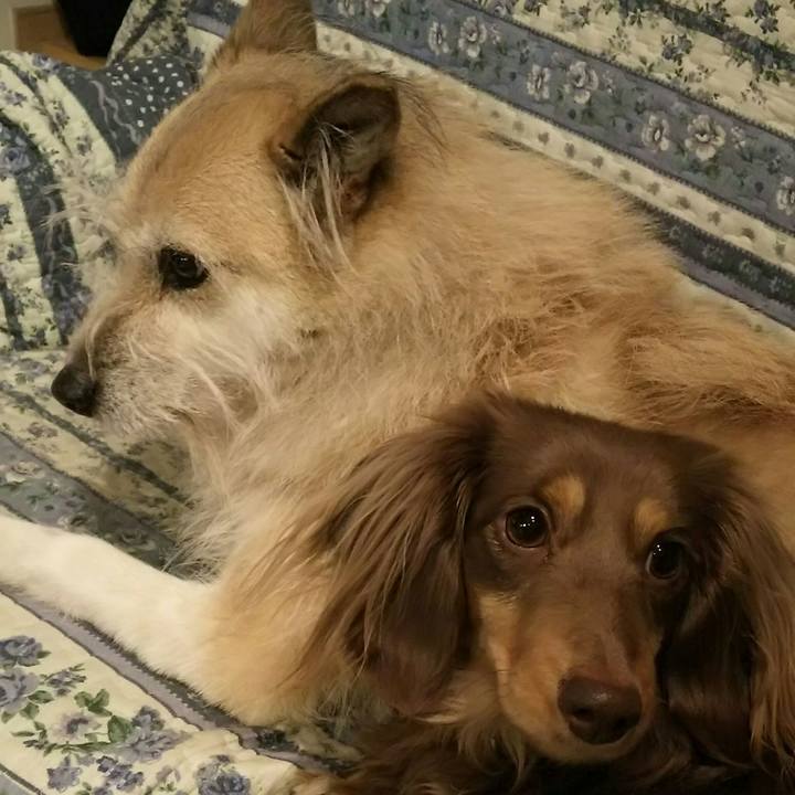 67f75bf9 e1f7 4b2e 9eaf 79729c773b2c