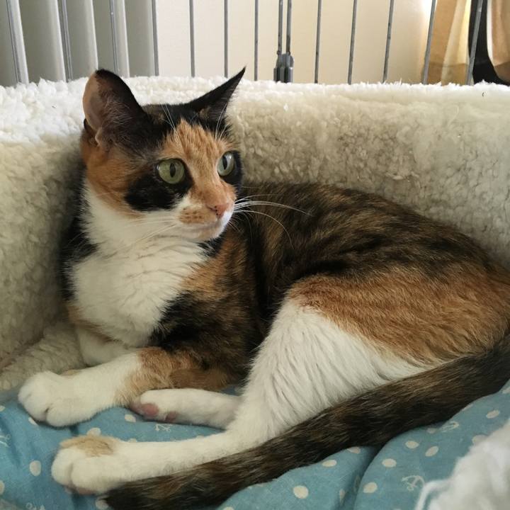 67f7b0bd cfa7 4dfd 9f68 a18ff5396175