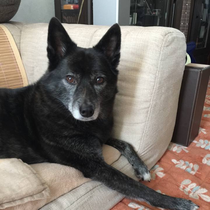 67f7d2ae be7b 457e a7f1 d37e8cf901c7