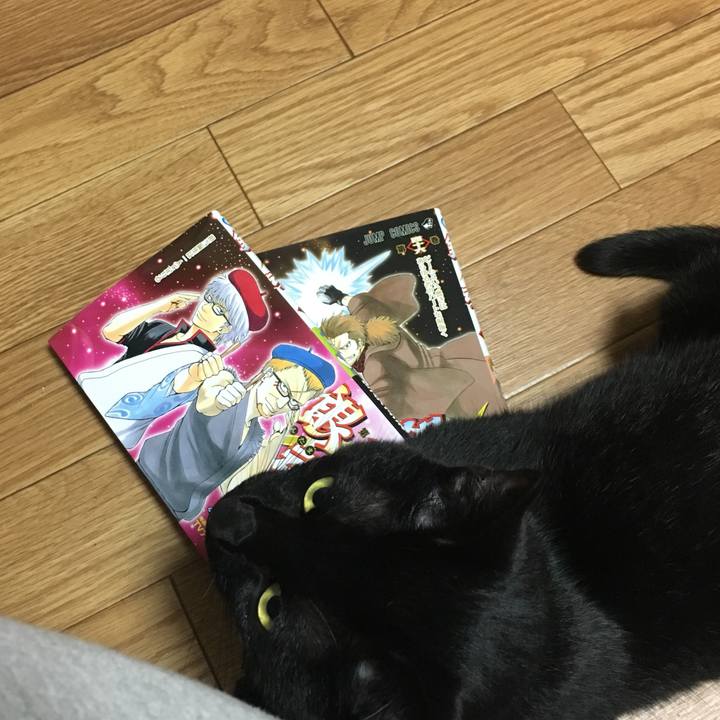 67f9901e 55e3 4898 9287 0a3bc61af8e1