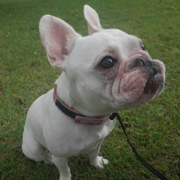 67f9b28f 255c 40b2 a96d b546f8600ac0