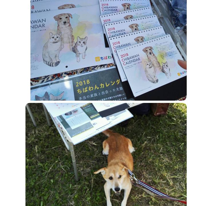 67fa3ab3 6a2e 457f a126 1e91b6ad487c