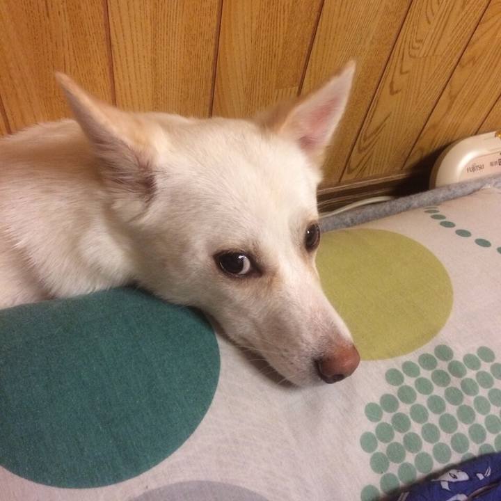 67fb148f fd75 4401 822c 0e5020b22ee1