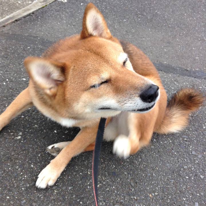 67fb5751 c2e1 4591 a358 c9f3116cd4f9