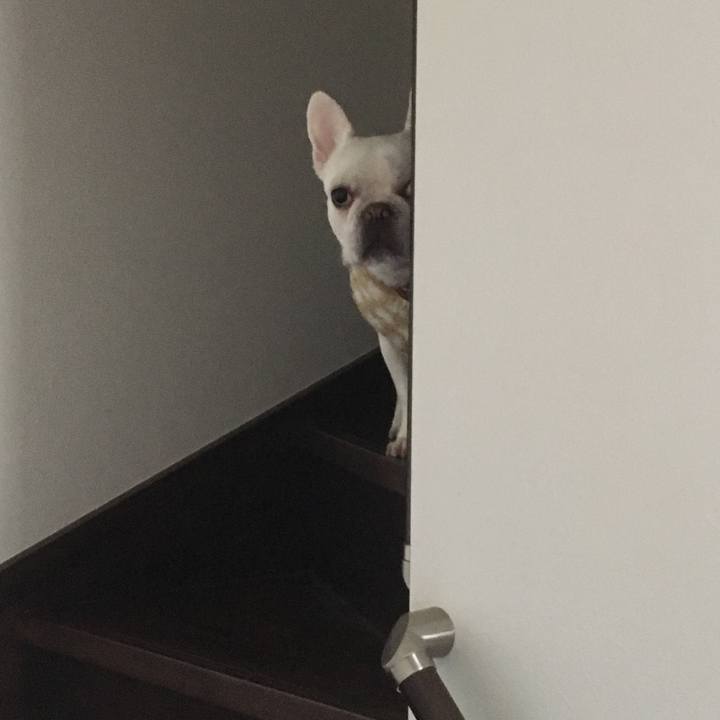 67fb6fe9 5140 42cd b0ff 0273eb77a1f8