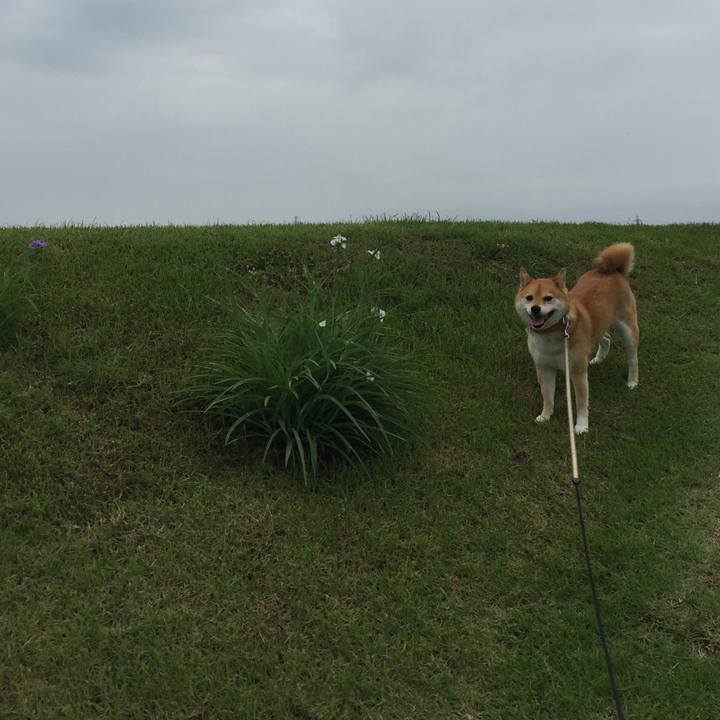 67fbe72c 7cfa 47dd 9643 c980b43baf76