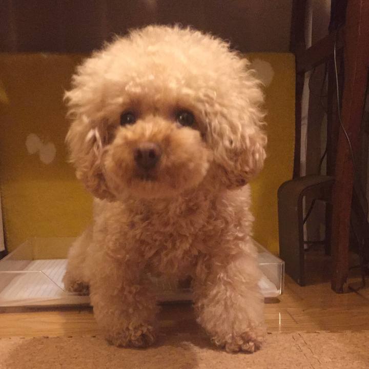 67fc196f 15a4 45dd 8a86 084f9abe67bc