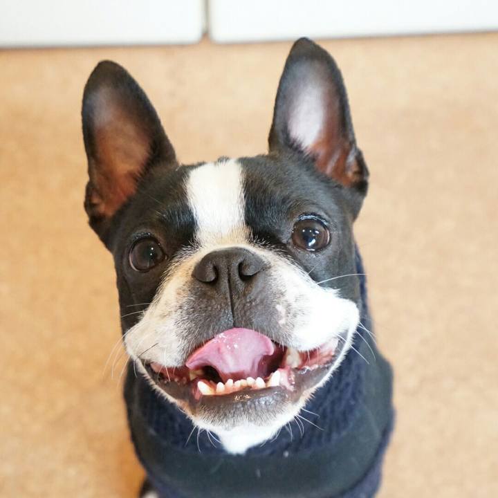 67fca590 792e 456f 96f0 31eda6f651cf