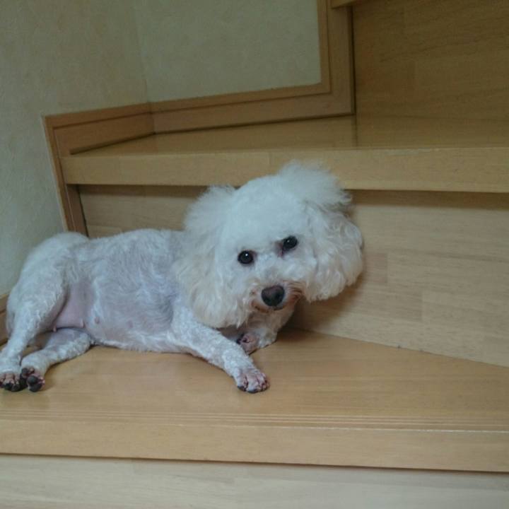 67fcbf8d 0c08 4a74 9478 86451ed37b1c