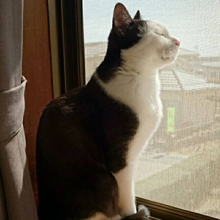 67fd8b56 9333 45cb 8c59 7727b522b2ec