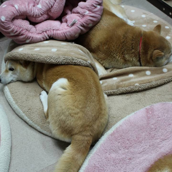 67fe11b2 b9c5 435f b2c2 2559a7d65925