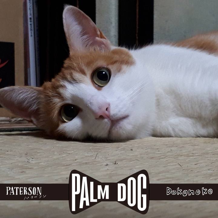 67ff3cd3 bc77 4309 aa6a c4c13ab49296