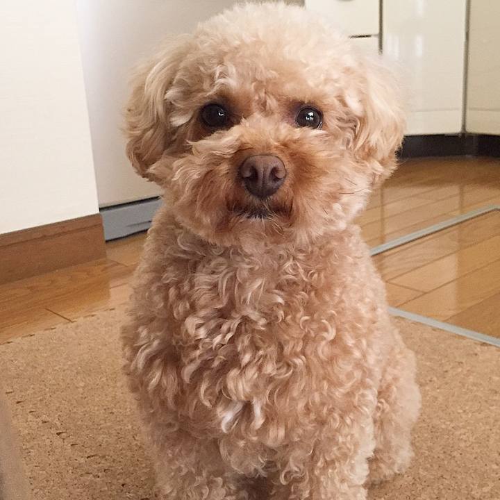 67ff4cf4 f3c9 40e0 9f9b 38d0afa3adfc