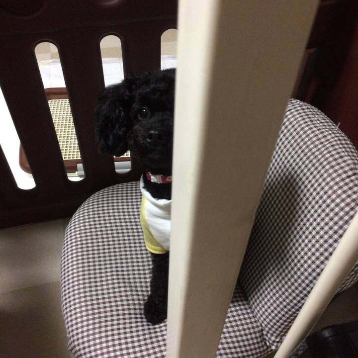 67ff9031 ea80 4566 8f97 8aeee65fff2c