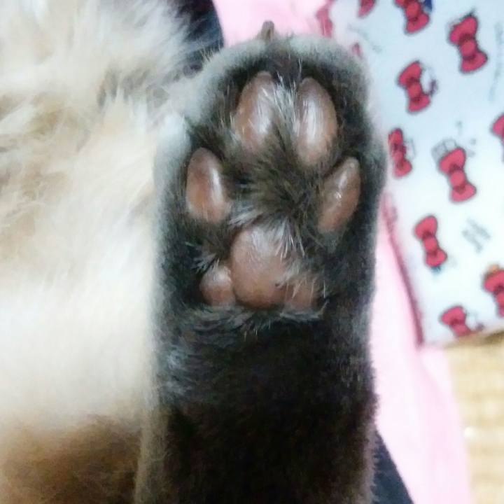 67ffb7a7 b14e 492c abc2 d5377518b5ca