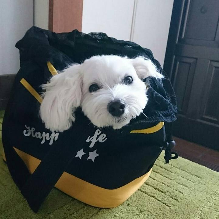 67ffd6e4 6962 4cb3 baff 79293b05711c