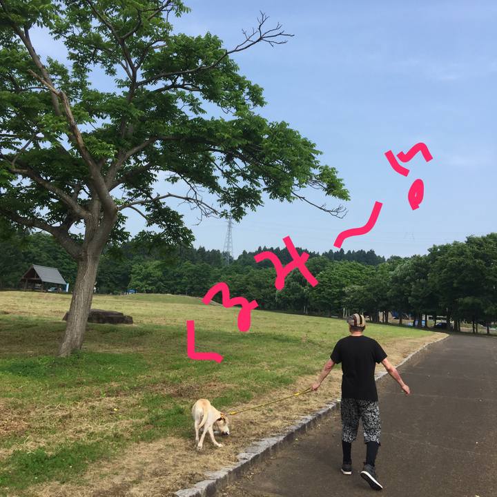 680031af 62bc 4639 b2dd 44e751d045fd