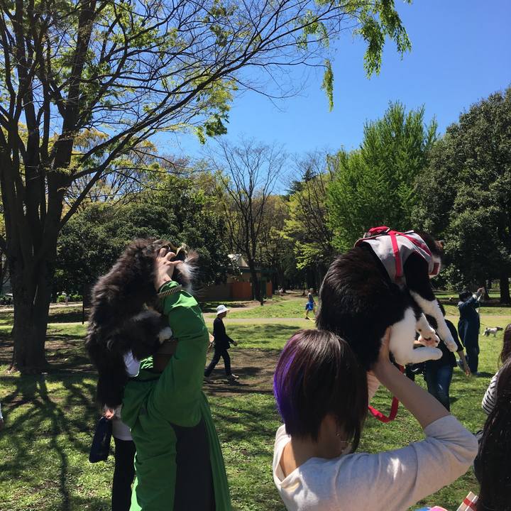 68003c28 c4d0 4de3 9779 f339e2c48c5c