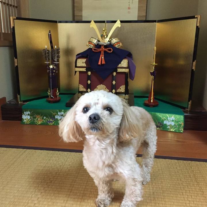 68011419 8efd 4944 bda6 eba2726ac7b1