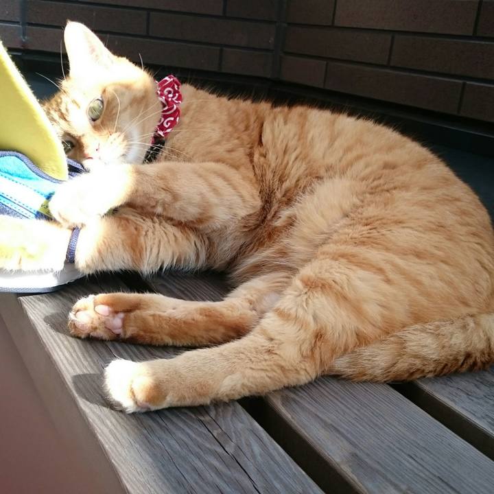 680120d8 4693 4f13 a720 2eb0cb1c47aa