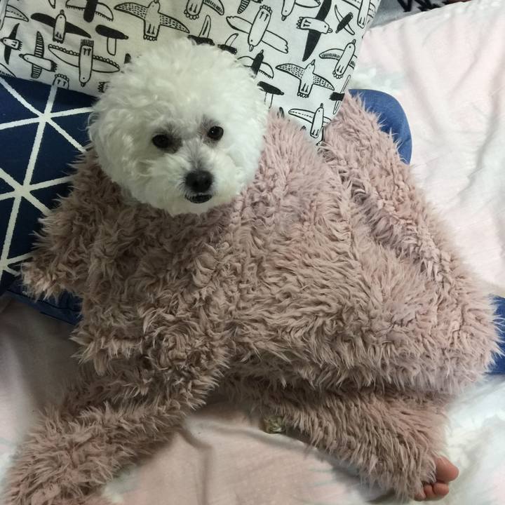 6801ca7b 5c1c 4292 b2ca 93e80abeafa1