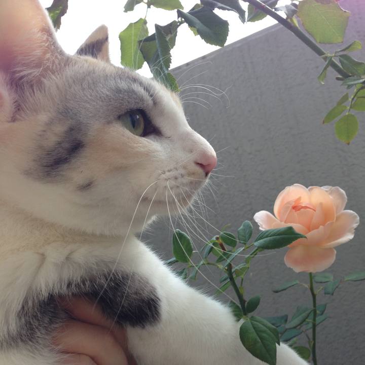 68027cb1 b5eb 4fe9 a475 0107a8d03209