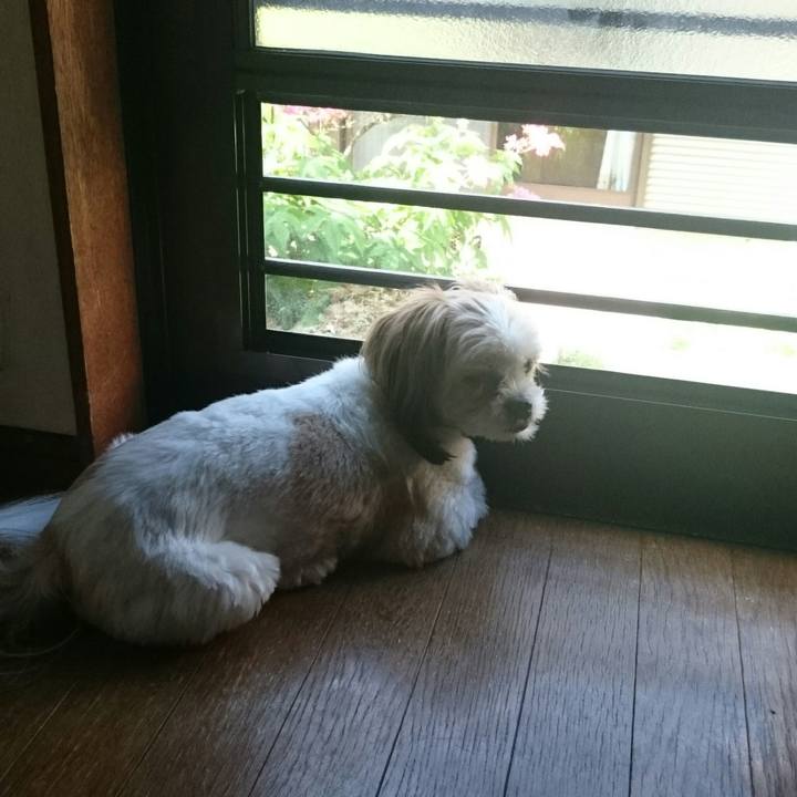 68028738 1ff6 46c6 8eb9 8348cb53094b