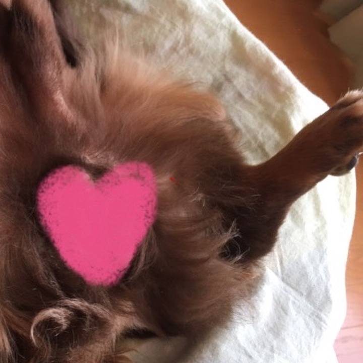 68028896 11d4 42bd bc5e eb144420fa18