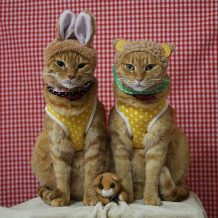 6802bc2f 8073 4ed5 8bba d3b123701fc4