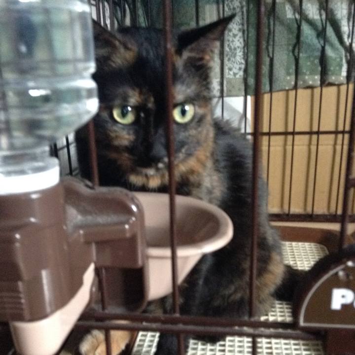 680300b0 7ff0 4b4c 82e1 dee18f8fba9c