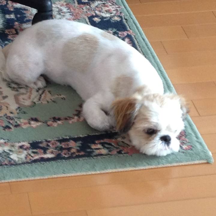 68035b7e 9174 4b00 92e5 52b87bd12543