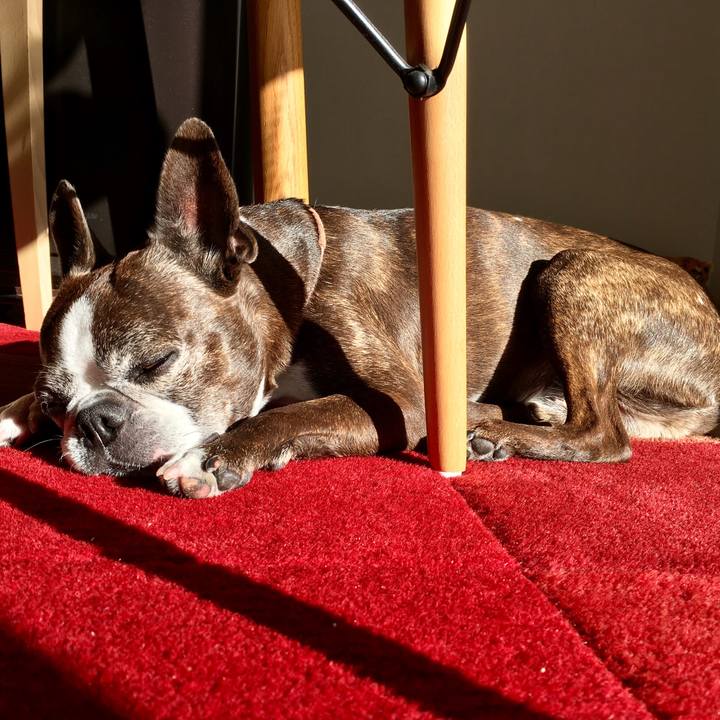 68037f75 475b 4240 8f53 17d133649c09