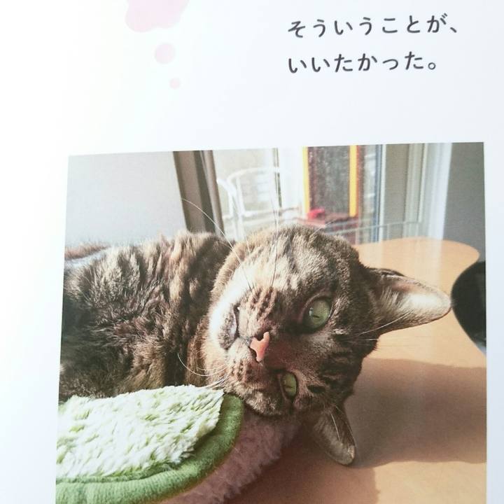 6803d602 444a 453d ac40 259b45d03964