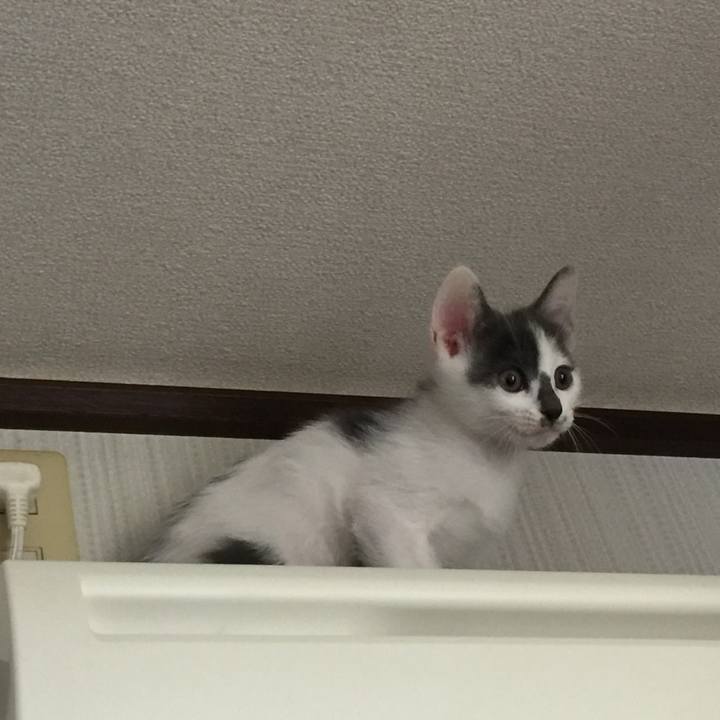 680417bd f54f 4820 83a2 c9a0006ea813