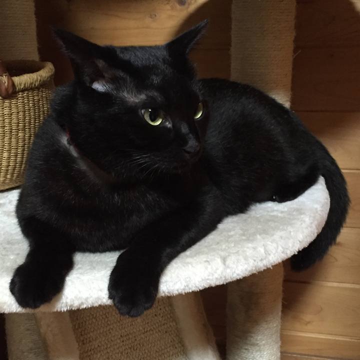 6804431f a69f 48fd ab86 5fe659ce7178