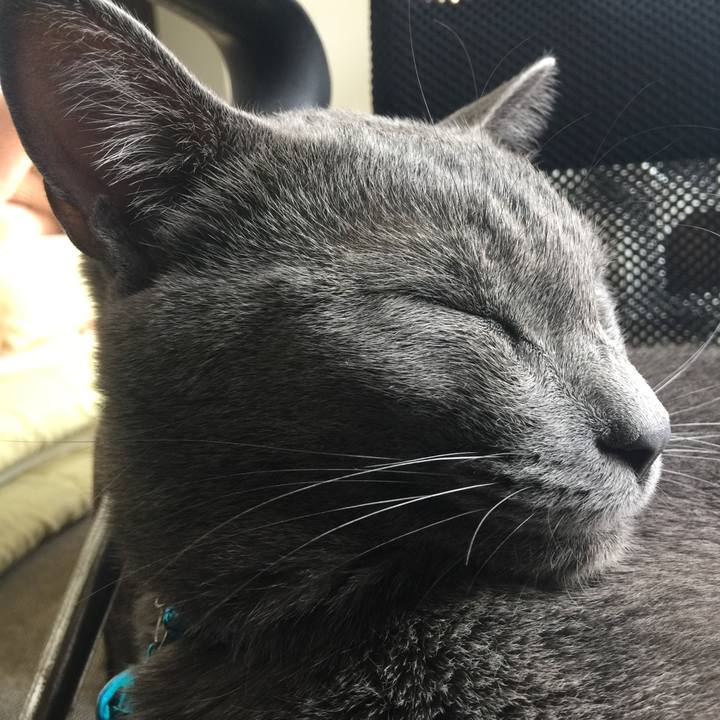 68045de5 3ab6 4296 8176 c07337e7344b