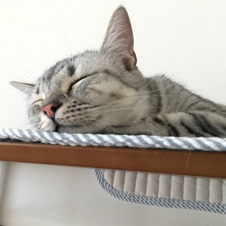 6804784d 2e13 4408 aab3 bc65ee8abbdf