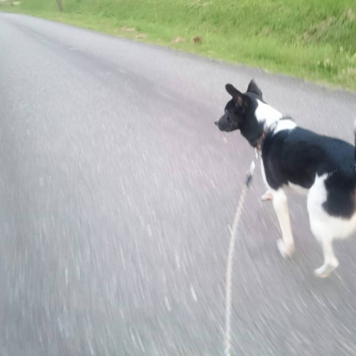 6805043c a21b 445c 8774 18dbcc7c7908