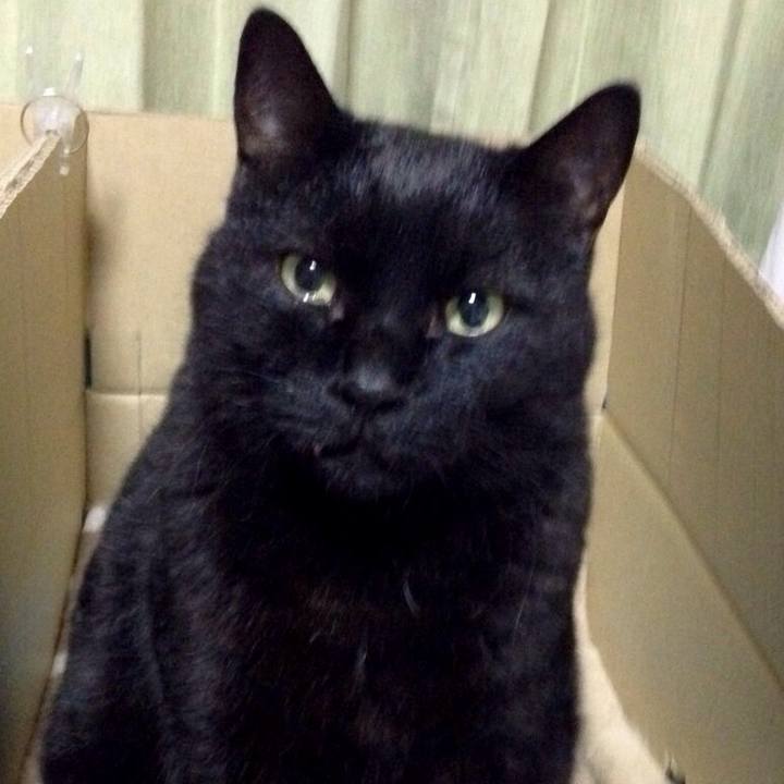 680527b7 e7b2 49cd ad36 0f1dfc7016ce