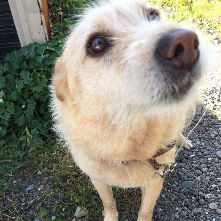 68053611 a93a 4de9 8b13 00f56f8455e4