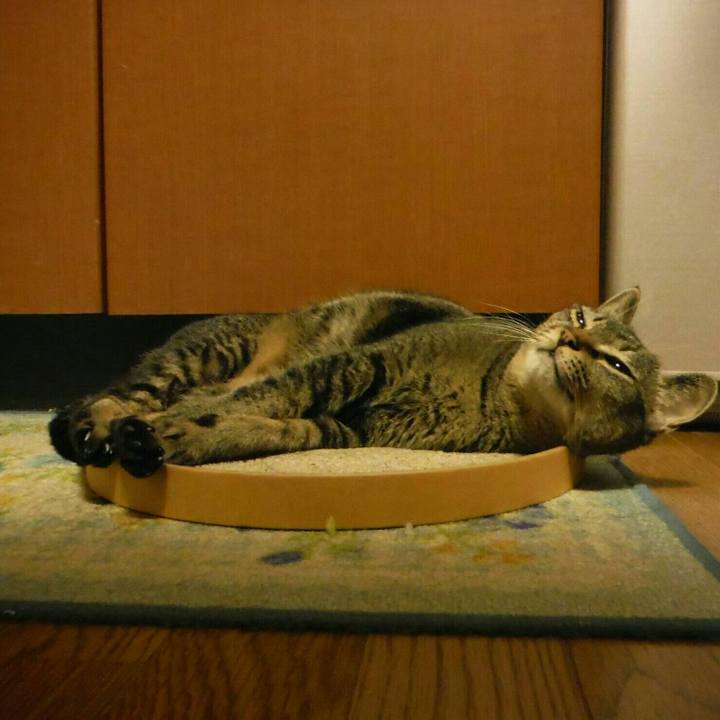 68053a49 44f1 4fc8 878d 6b4ac44e4fa7