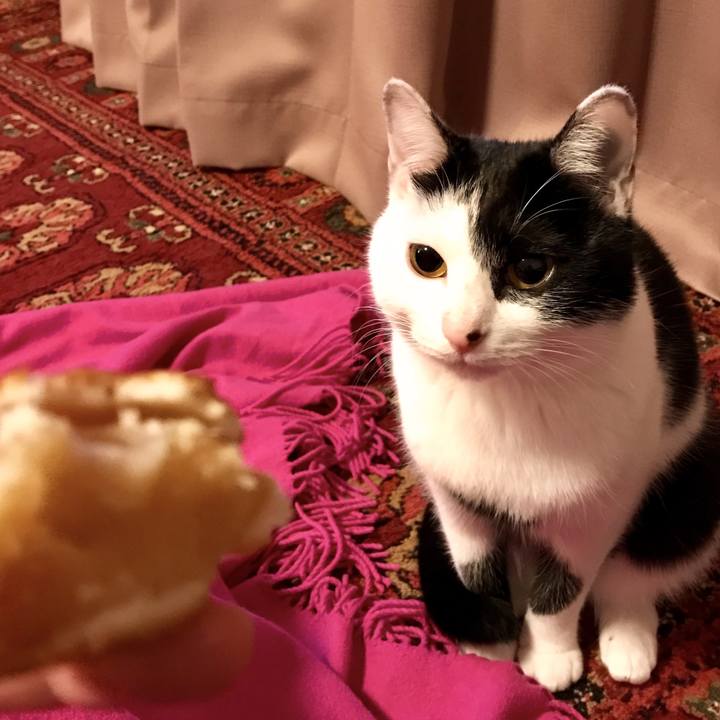 680570e5 789f 4df3 9d70 6b3d01026bdb