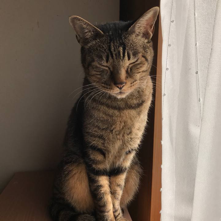 6805ef3a 5859 40f1 8f94 d514a7ecb5a1