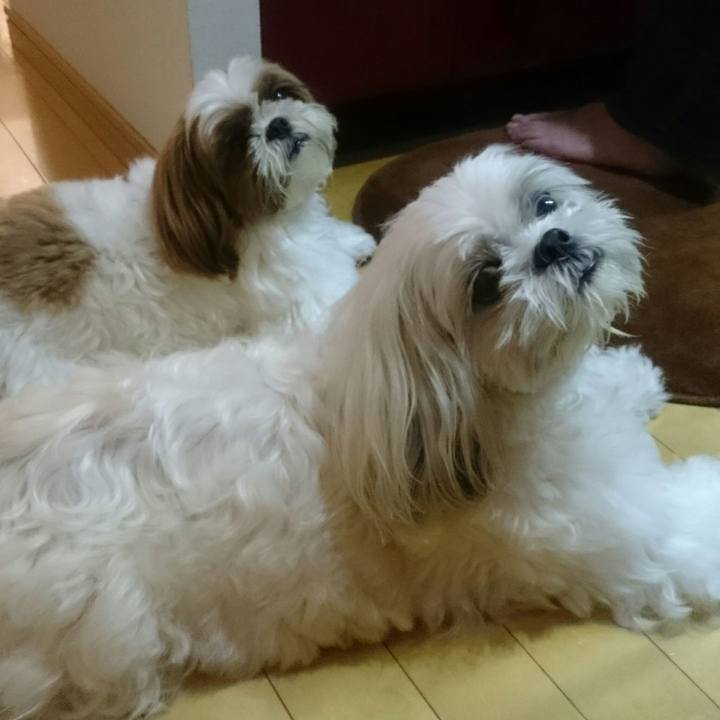 6806b097 40f7 47a0 bf7d 88a73010b7e7