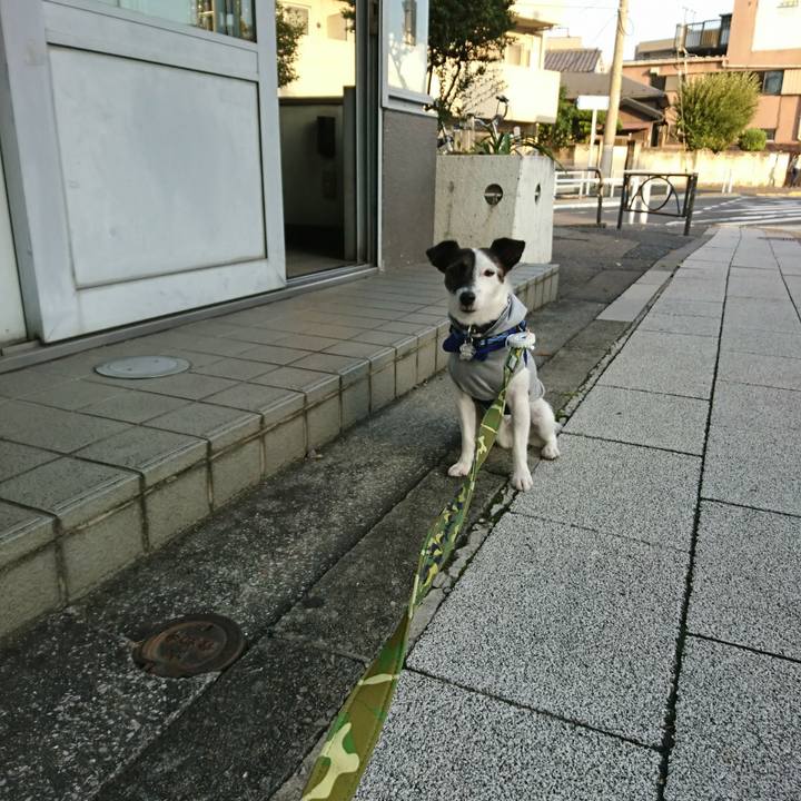 68070f30 0d1a 4b17 a178 b6eb18e788a6