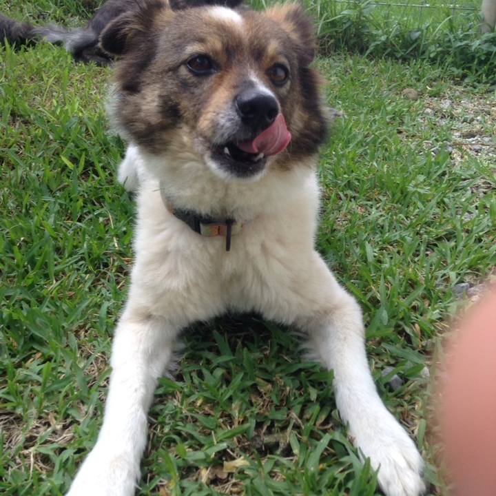 68070fab cdea 4b0d 9a46 66a1bbf1e5c3